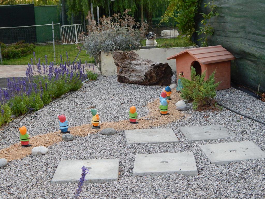 B&B Corte Bolandina Taglio Di Po Bagian luar foto